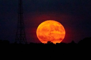 Гороскоп: Львы - попробуйте быть скромнее, Стрельцы - займитесь своей "ласточкой"